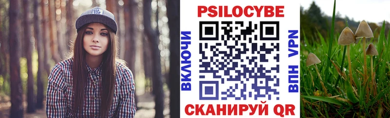 Псилоцибиновые грибы GOLDEN TEACHER  blacksprut ТОР  Заозёрск 